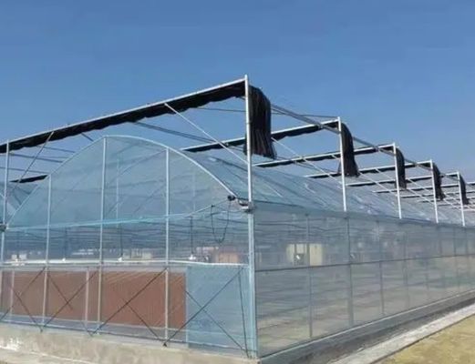 Meervoudig hydroponisch kassysteem voor productie en commerciële experimenten