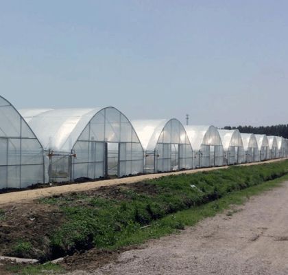 Meervoudig hydroponisch kassysteem voor productie en commerciële experimenten