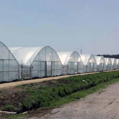Zaden verbouwen Juxiang Hydroponic Farm Film Serre met aangepast verzoek