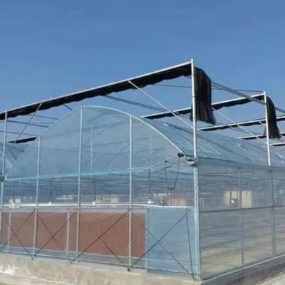 Zaden verbouwen Juxiang Hydroponic Farm Film Serre met aangepast verzoek