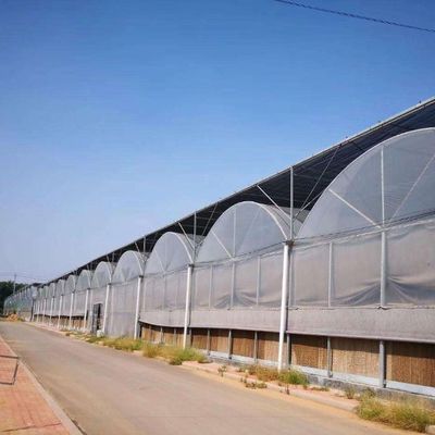 Zaden verbouwen Juxiang Hydroponic Farm Film Serre met aangepast verzoek