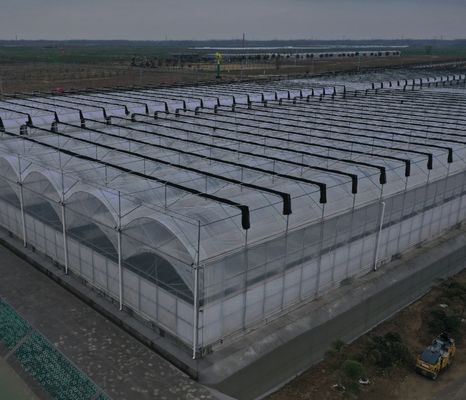 Zaden verbouwen Juxiang Hydroponic Farm Film Serre met aangepast verzoek
