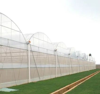 Zaden verbouwen Juxiang Hydroponic Farm Film Serre met aangepast verzoek