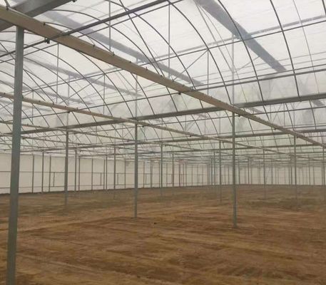 Zaden verbouwen Juxiang Hydroponic Farm Film Serre met aangepast verzoek