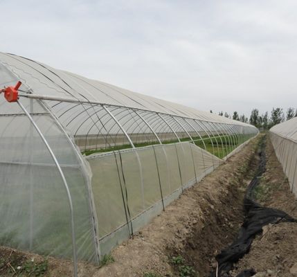Anti-druppelfolie-dampkas voor bloemen Tijdelijke verwarmingsmethode inbegrepen