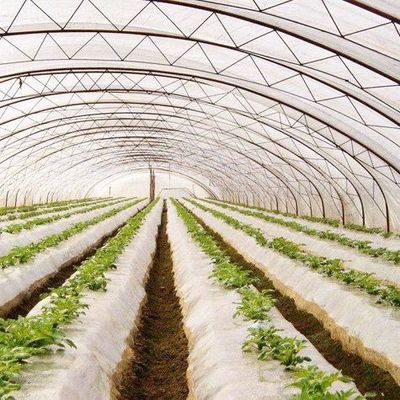 Aanpasbaar hydroponisch systeem voor groenten en bloemen op maat van uw behoeften