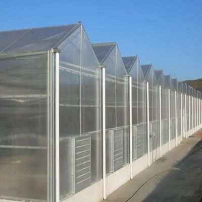 Aanpasbaar hydroponisch systeem voor groenten en bloemen op maat van uw behoeften