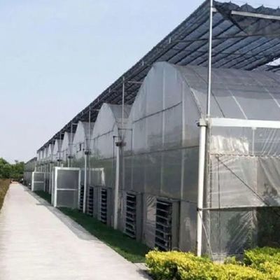 Aanpasbaar hydroponisch systeem voor groenten en bloemen op maat van uw behoeften