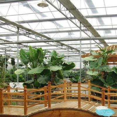Juxiang Plaat PC Board Groenhuis voor hydroponische teelt systemen aardbei op maat