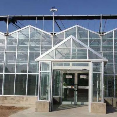 Juxiang Plaat PC Board Groenhuis voor hydroponische teelt systemen aardbei op maat