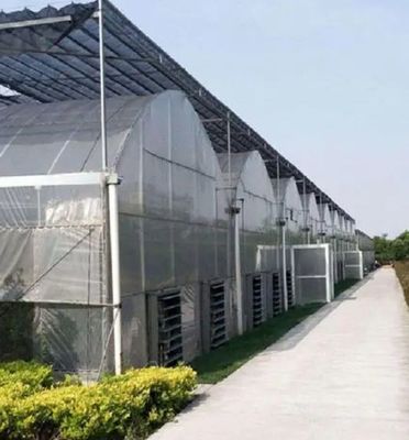 Juxiang Multi-Span Humidity Control Greenhouse voor Pepers Film Greenhouse Department