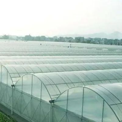 Juxiang Multi-Span Humidity Control Greenhouse voor Pepers Film Greenhouse Department