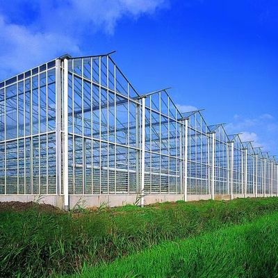 Hydroponische groentenverbouwing Venlo glazen kas met dubbele laag en type dak