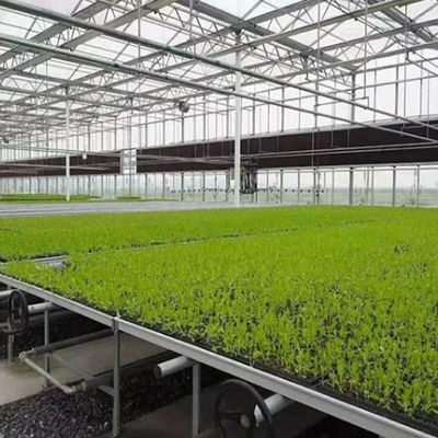 Warmwaterverwarming Meervoudig zaadplaatsglaskas voor hydroponische stromalcontrole