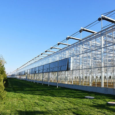Warmwaterverwarming Meervoudig zaadplaatsglaskas voor hydroponische stromalcontrole