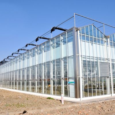 Warmwaterverwarming Meervoudig zaadplaatsglaskas voor hydroponische stromalcontrole