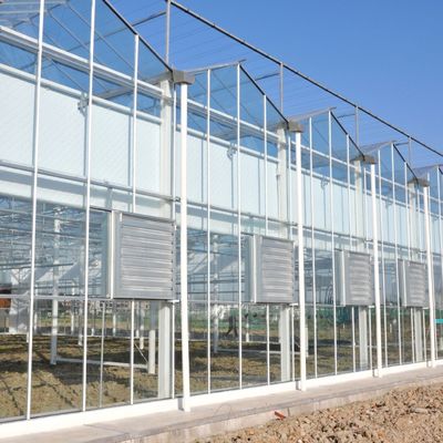 Warmwaterverwarming Meervoudig zaadplaatsglaskas voor hydroponische stromalcontrole