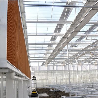 Warmwaterverwarming Meervoudig zaadplaatsglaskas voor hydroponische stromalcontrole