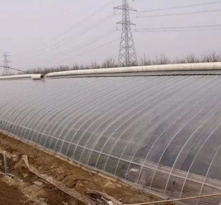 Doppelfilm hydroponisch systeem voor komkommerpakket Grootte 12,09cm * 2,35cm * 2,39cm