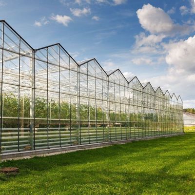 Venlo Hollow Double Layer Tempered Glass Greenhouse voor Hydroponics Growing System