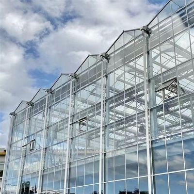 Venlo Hollow Double Layer Tempered Glass Greenhouse voor Hydroponics Growing System