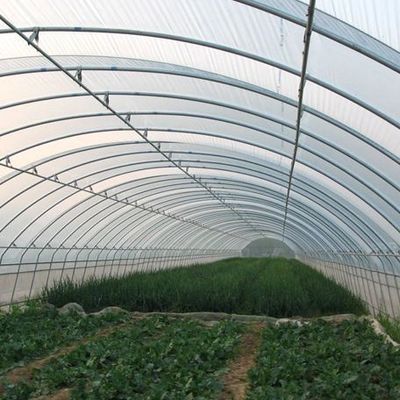 US Single-Arch Hydroponics Greenhouse voor peperproductie Pakket Bruto gewicht 2000.000kg