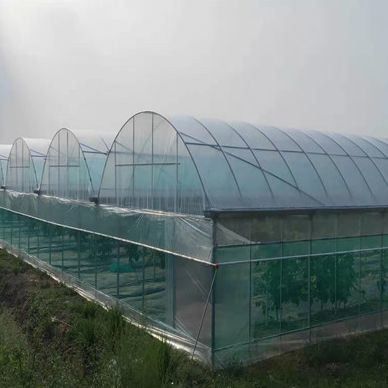 US Single-Arch Hydroponics Greenhouse voor peperproductie Pakket Bruto gewicht 2000.000kg