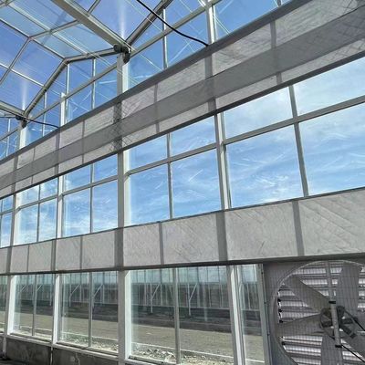 Groenhuis met een dak met een geharmoniseerde luchtvochtigheid voor hydroponische zaailingen