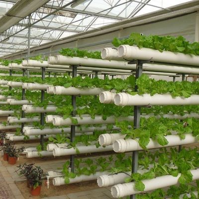 Groenhuis met een dak met een geharmoniseerde luchtvochtigheid voor hydroponische zaailingen