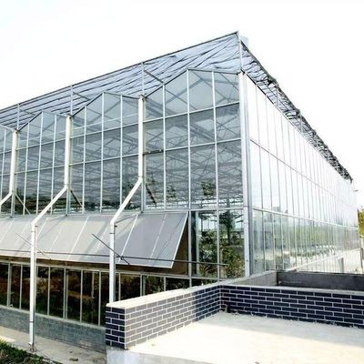 Oorsprong Groenten en bloemen Glaskas met hydroponische teeltmethode