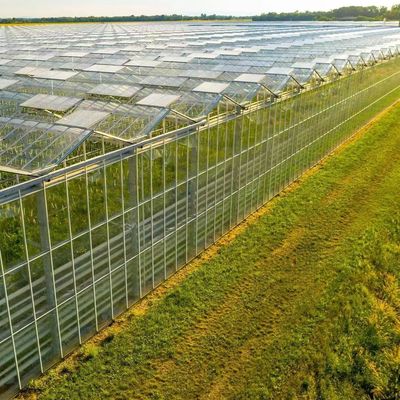 Oorsprong Groenten en bloemen Glaskas met hydroponische teeltmethode