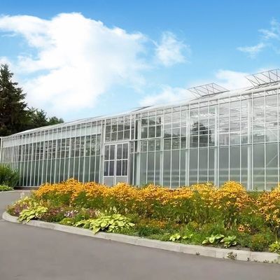 Oorsprong Groenten en bloemen Glaskas met hydroponische teeltmethode