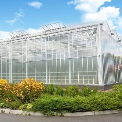 milieuvriendelijke multi-span glaskassen op maat en geschatte levertijd