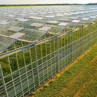 milieuvriendelijke multi-span glaskassen op maat en geschatte levertijd