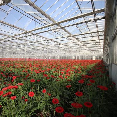 milieuvriendelijke multi-span glaskassen op maat en geschatte levertijd