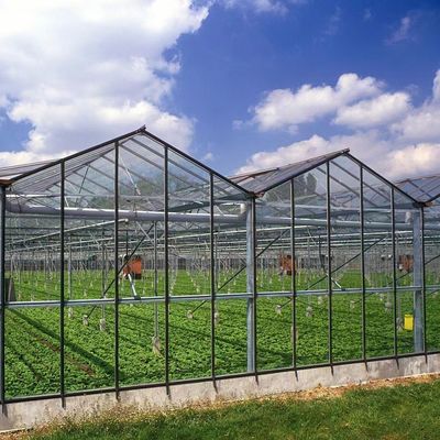 milieuvriendelijke multi-span glaskassen op maat en geschatte levertijd