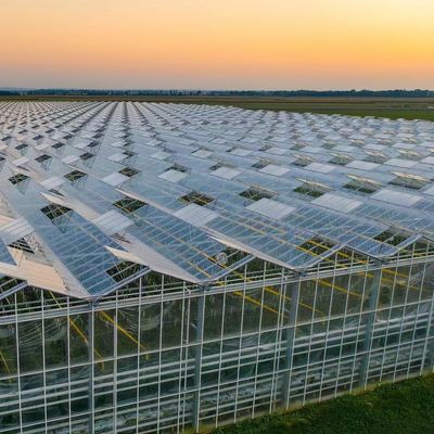 milieuvriendelijke multi-span glaskassen op maat en geschatte levertijd