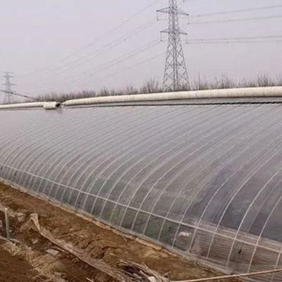 1209cm * 235cm * 239cm Pakketgrootte Kas voor tomaten en komkommers Landbouw Volledige betaling