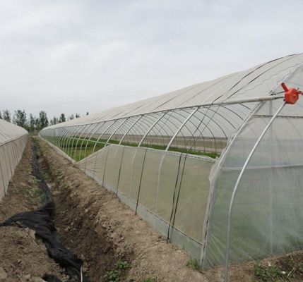 Aanvankelijke betaling Grote peper en bloemen Hydroponic met film kas Volledige betaling