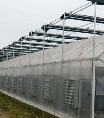 Aanvankelijke betaling Grote peper en bloemen Hydroponic met film kas Volledige betaling