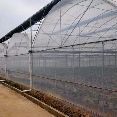 Aanvankelijke betaling Grote peper en bloemen Hydroponic met film kas Volledige betaling