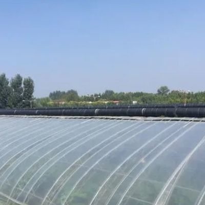 Aanpassingsoptie Juxiang Hydroponisch systeem Groentenverbouwing Film Kas