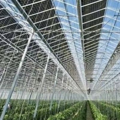 Glazen kas met hydroponica Groeiend Op maat gemaakte aanvraag Dakvormige A-type dak