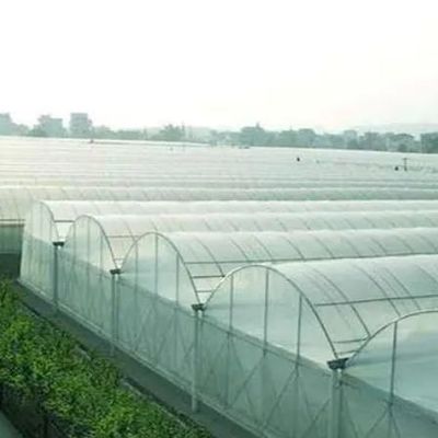 Aanpassingsoptie Juxiang Hydroponisch systeem Groentenverbouwing Film Kas