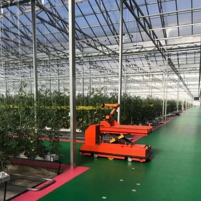 Hydroponische glazen kas voor bloemen Verzendkosten en geschatte levertijd