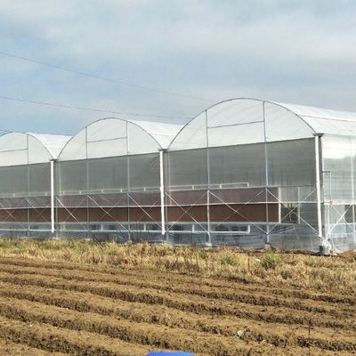 Groenhuis met een enkele boog voor bloemenverbouwing
