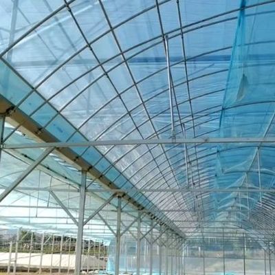 Groenhuis met een enkele boog voor bloemenverbouwing