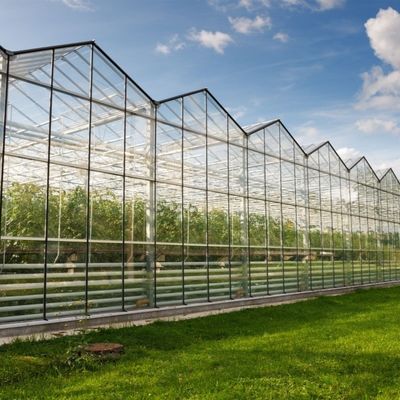 Glaskas met hydroponisch kweekstelsel Commerciële kaspromotie