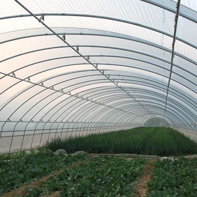 Aanpasbaar dubbelfilmhydroponisch systeem voor peperproductie Multi-Span Design