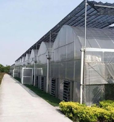 Aanpasbaar dubbelfilmhydroponisch systeem voor peperproductie Multi-Span Design